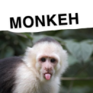 Autistic_monkeh