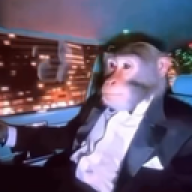 mT1337
